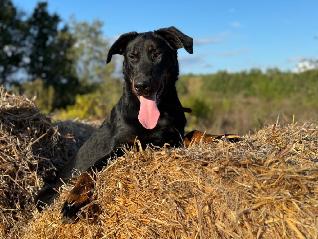 Publication : du berceau de bfamily 