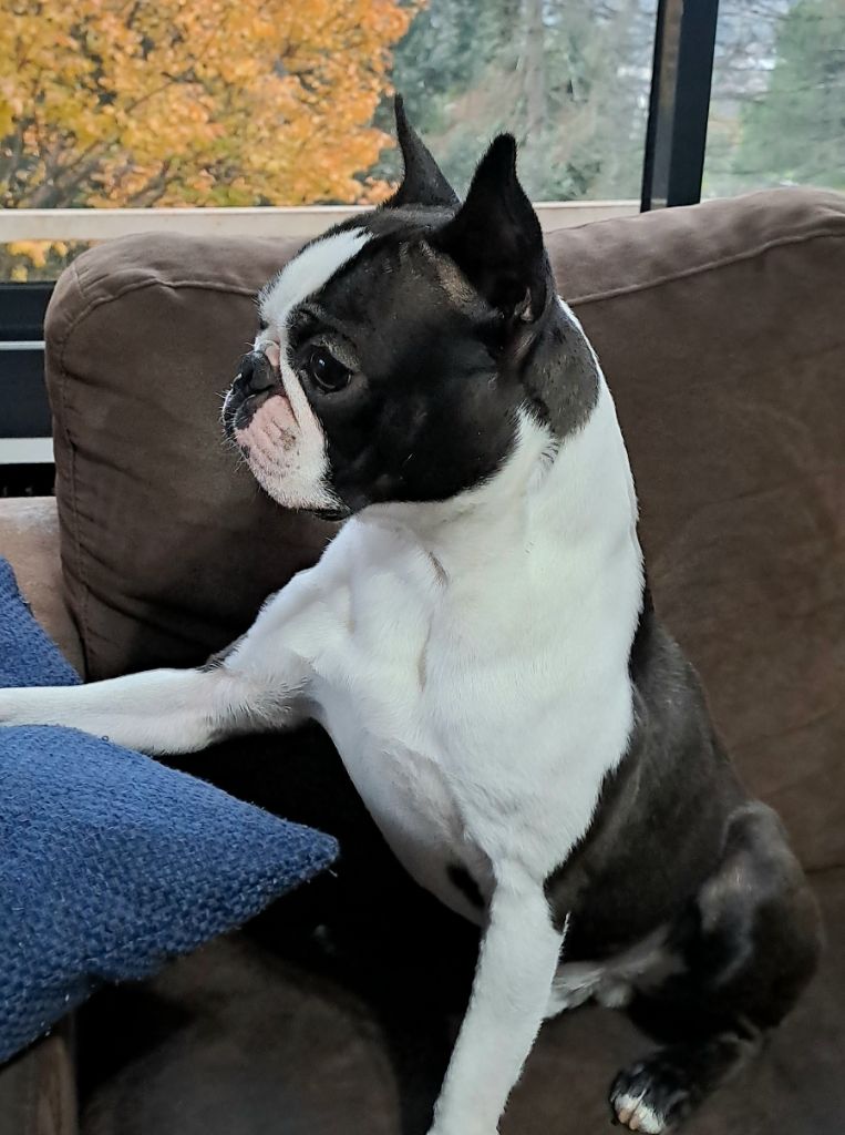 Publication : Ever Single 