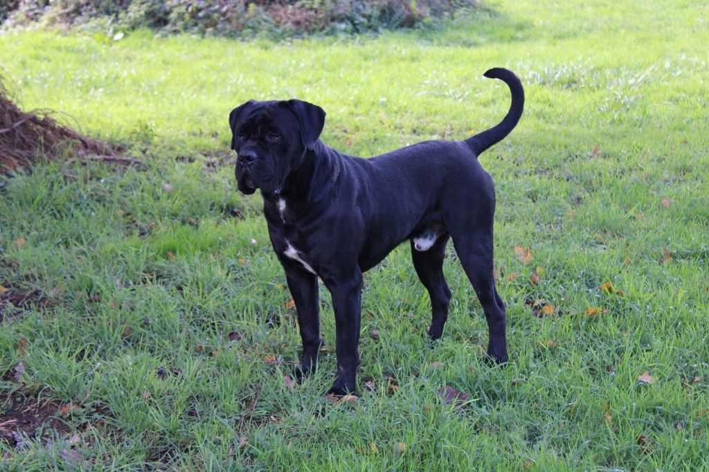 Publication : du Domaine Des Terres Noires