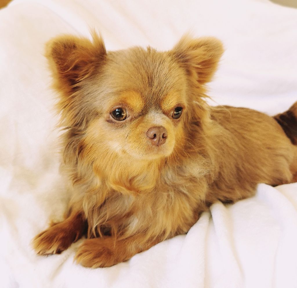 Publication : Lou Crozia 