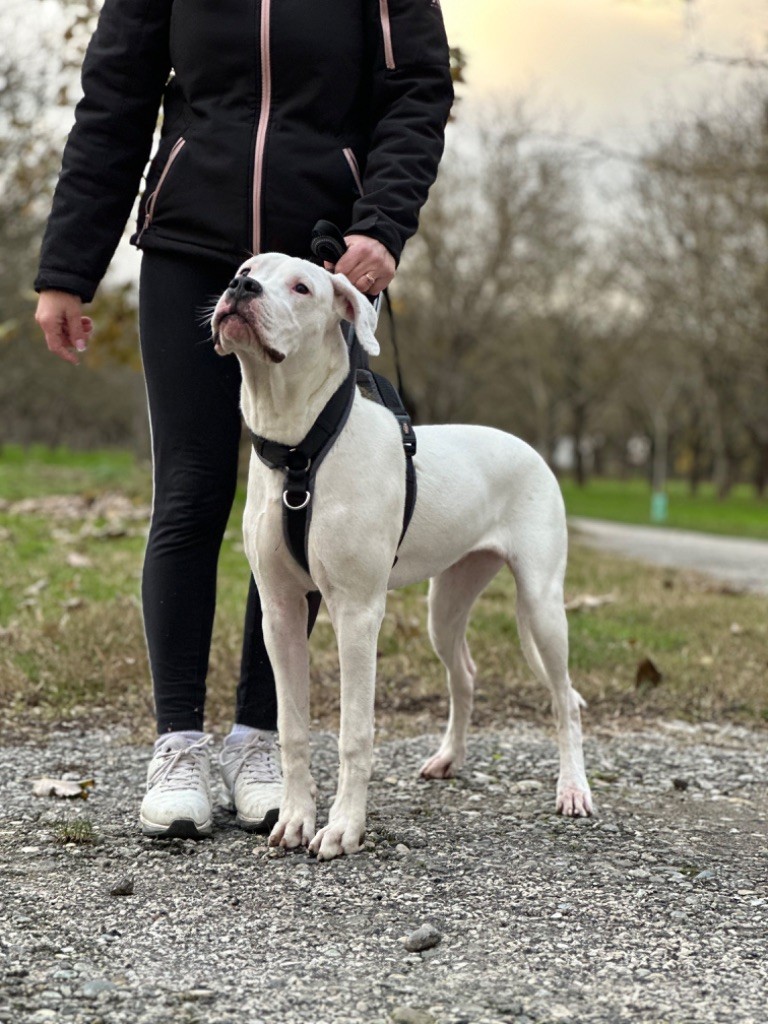 Publication : Du Domaine De Canja 