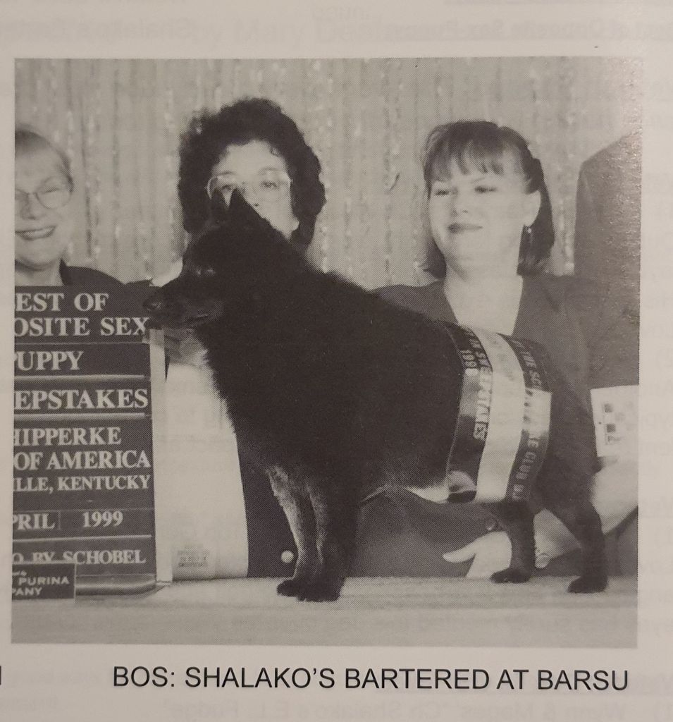 CH. shalako's Bartered at barsu