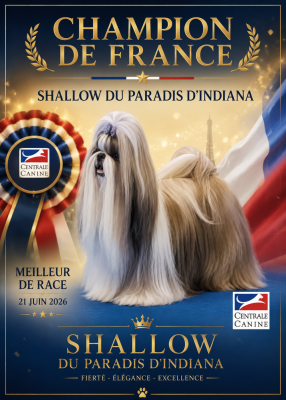 CH. Shallow Du Paradis D'indiana
