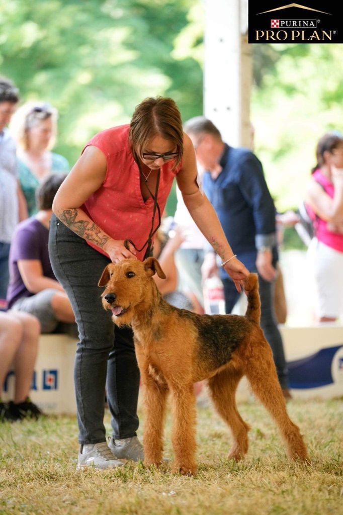 Publication : Du Clos De Médhiéna Auteur : Moi