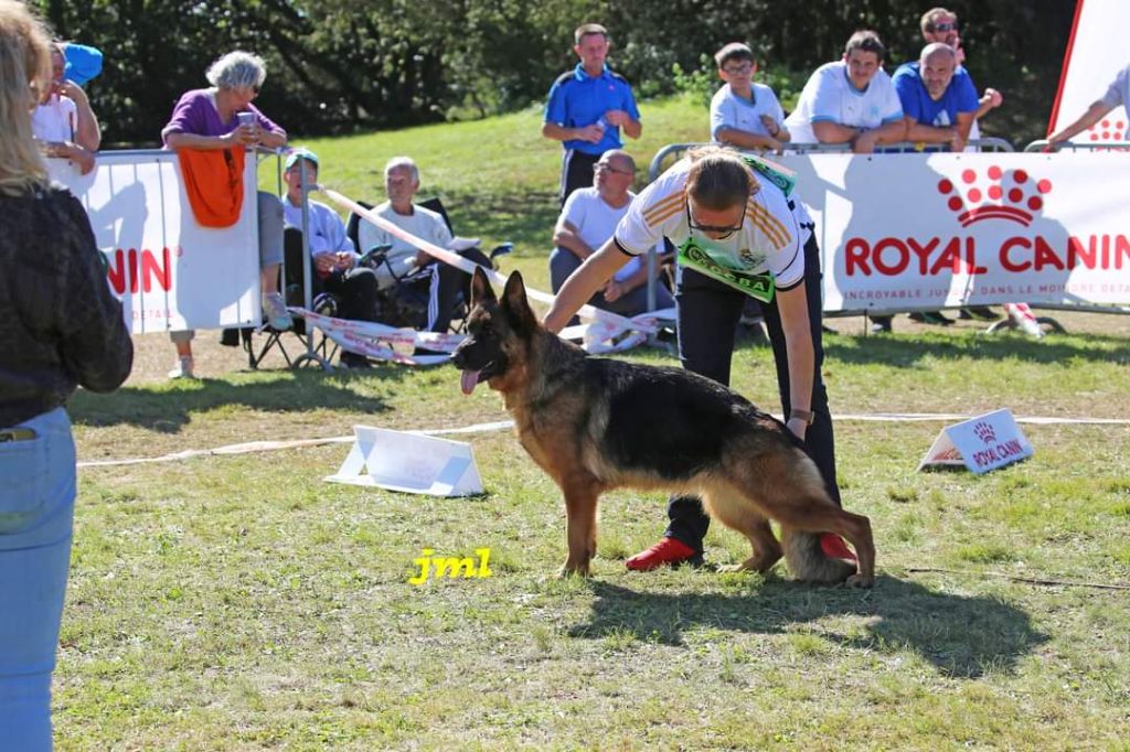 Publication : des Terrils du Ch’ti