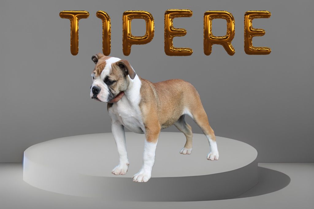 Publication : Yapafoto 