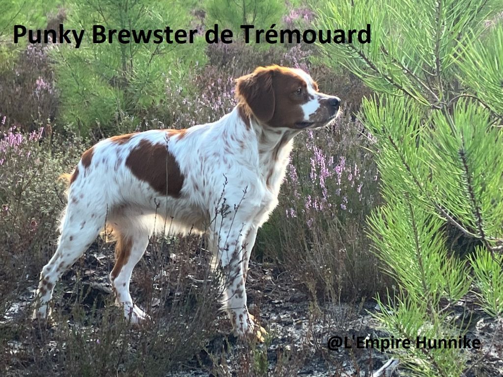 TR. Petra dite punky brewster De tremouard