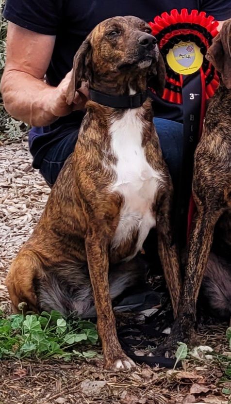 Publication : Des Combes Du Ventoux 