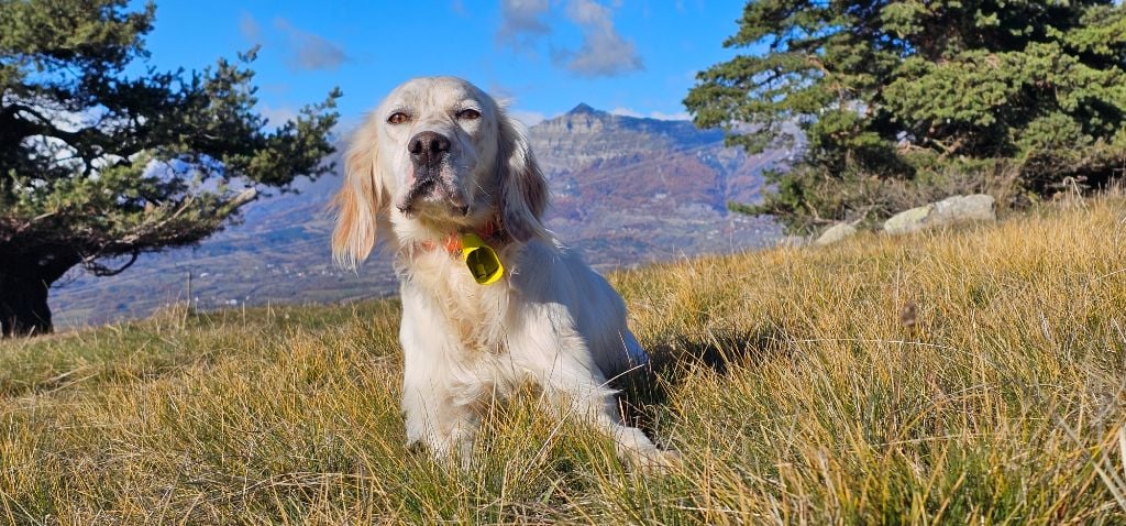 Publication : du mas des Vernets Auteur : Lafont Johan