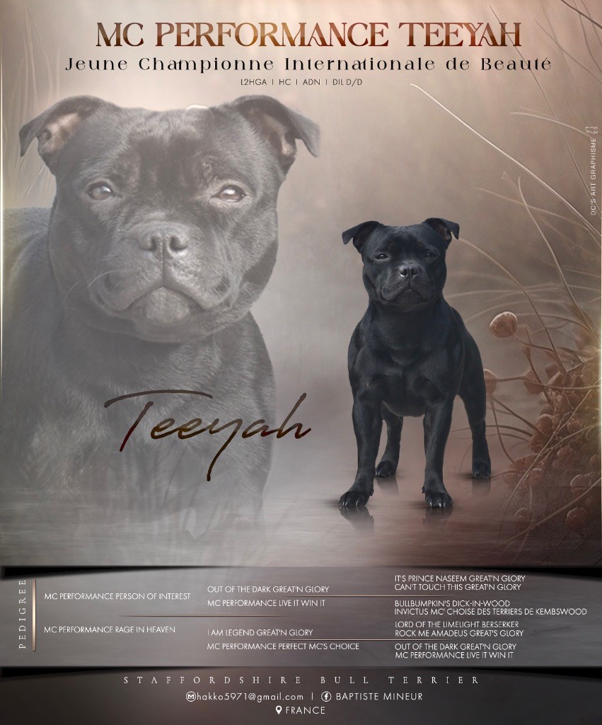 Publication : From The Staffords Lair Auteur : Baptiste MINEUR