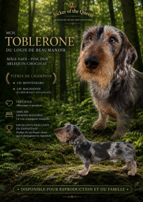 Toblerone Du logis de beaumanoir