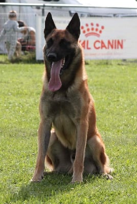 S'aldo De Samelso
