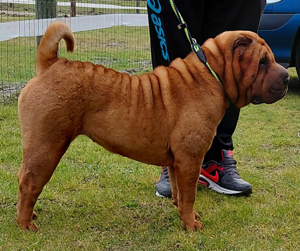 Publication : De L'Esprit De Buchido Auteur : photo du 28 03