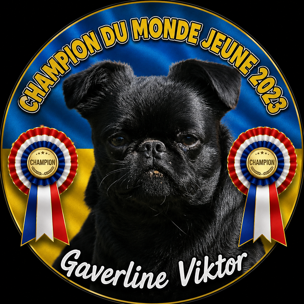 CH. Gaverline Viktor