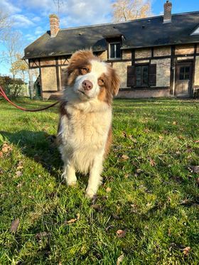 Publication : de la Vallée de Saint Samson