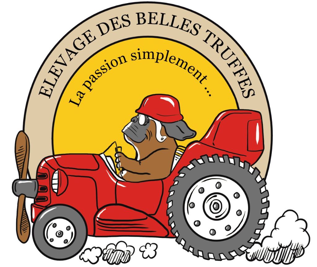 Publication : Des Belles Truffes Auteur : BELLES TRUFFES