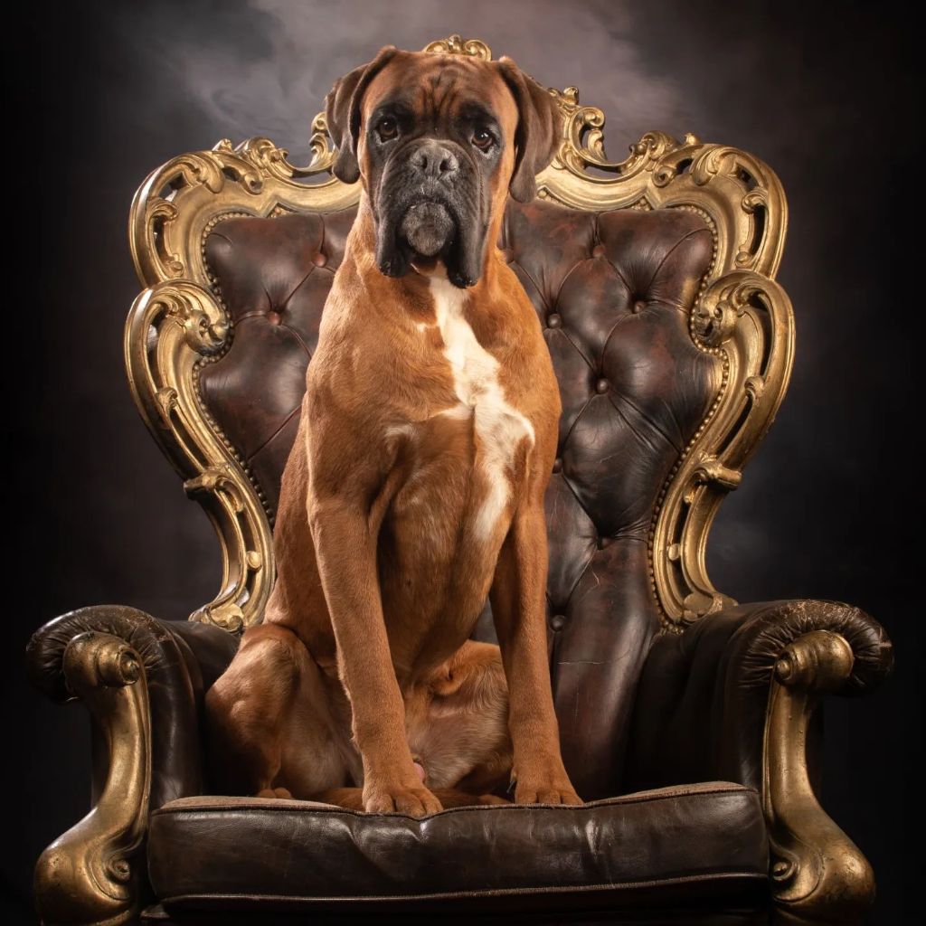 Publication : du roc de candelon 