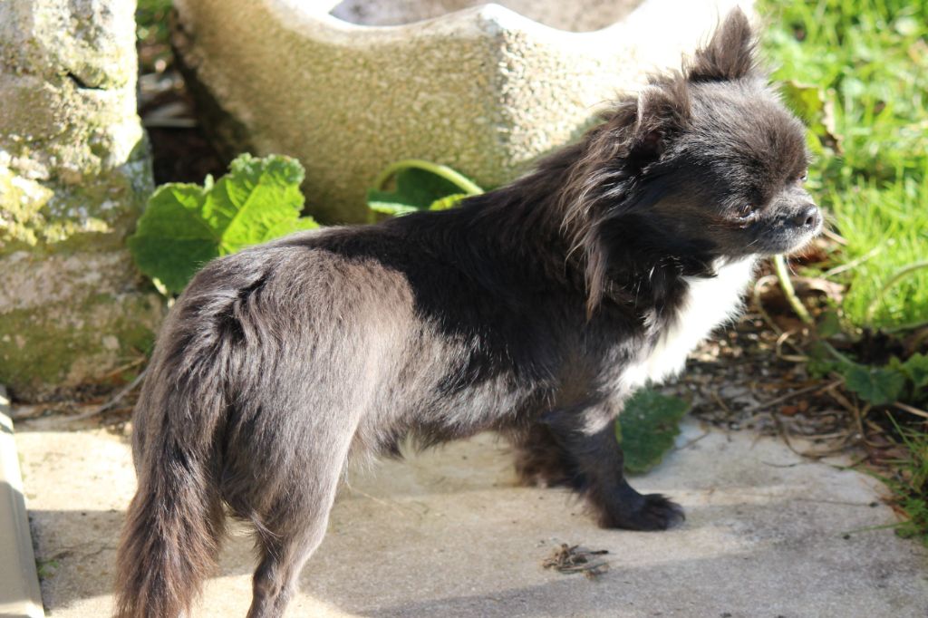 Publication : de la Voie des Péniches Auteur : EVELYNE JULIEN