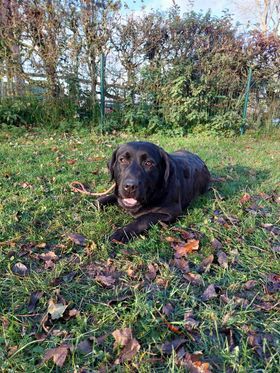 Publication : de la Vallée de Saint Samson 