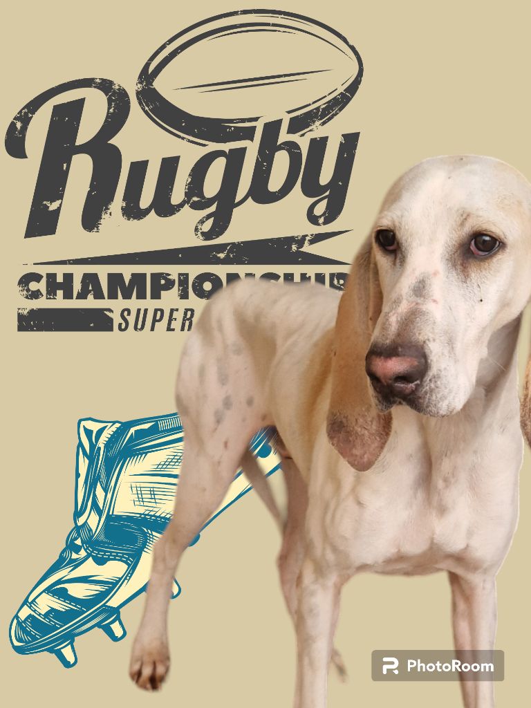 Publication : Du Roc De La Loubière 