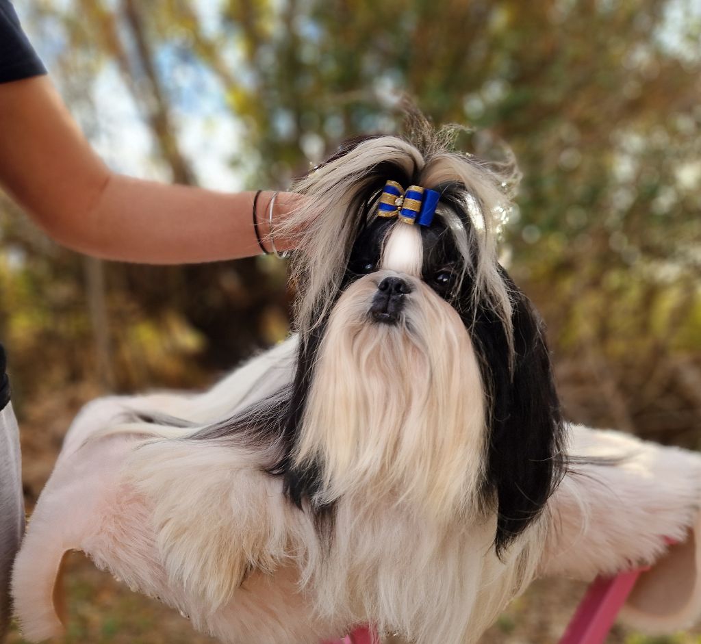 Publication : De hillsbury