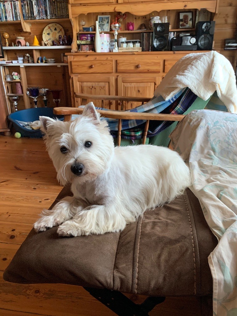 Publication : du chalet de candresse Auteur : Isabelle Barbe