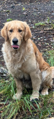 image de Uno dit upper