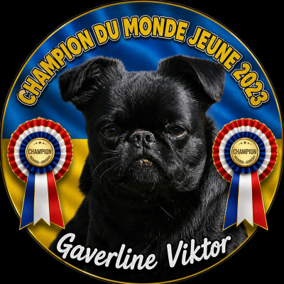 Étalon Petit Brabançon - CH. Gaverline Viktor