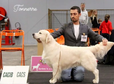 image de Tonnerre de brest de