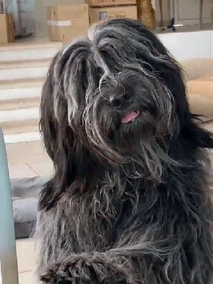 image de Eye in the sky eros