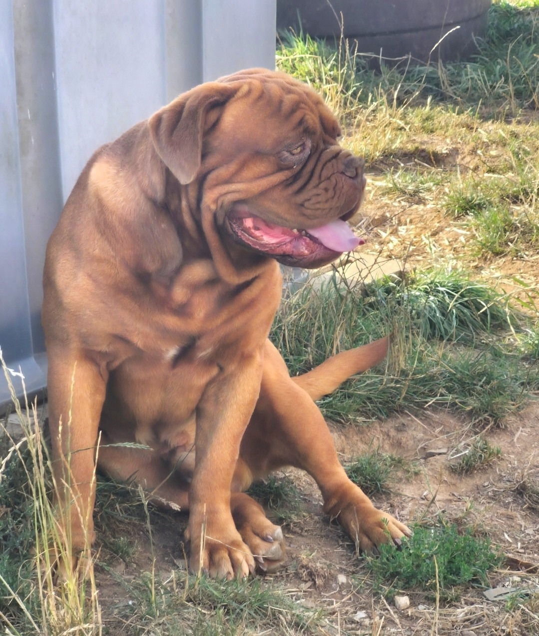 Publication : Des Terres Sacrées De Ty Scao