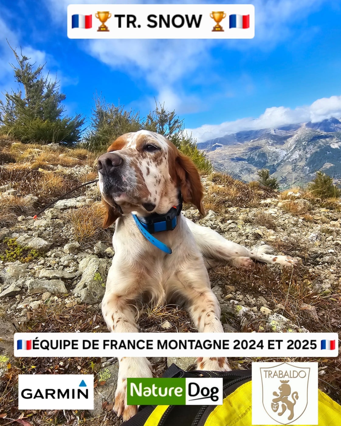 Publication : du mas des Vernets Auteur : Lafont Johan