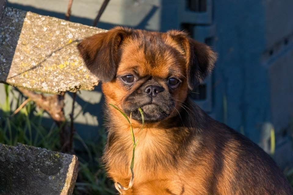 Publication : Du Domaine De Lorien 