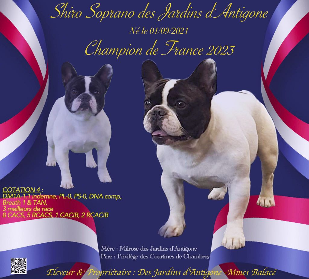 Publication : des jardins d'Antigone Auteur : nosb