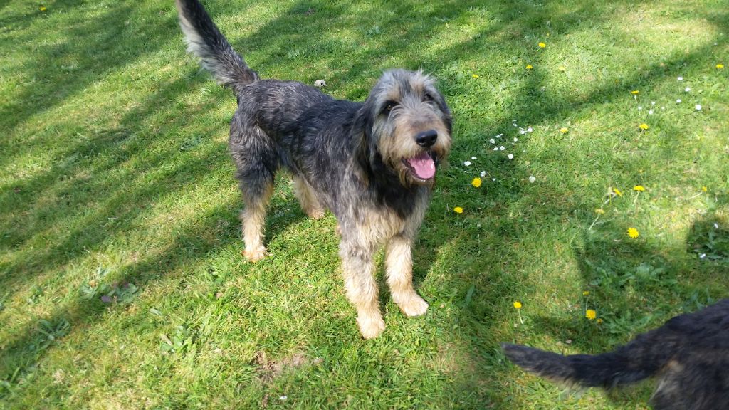 Publication : (Sans Affixe) Auteur : JEAN PIERRE DUPUY