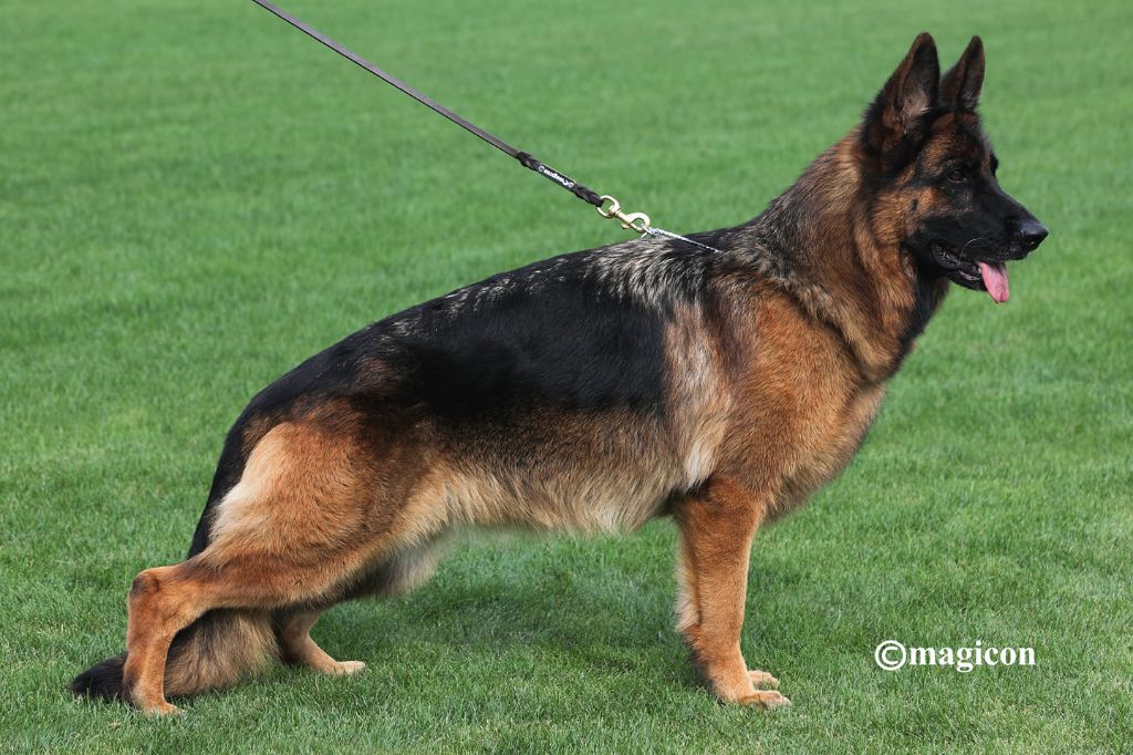 Angel team vom hotkämper off