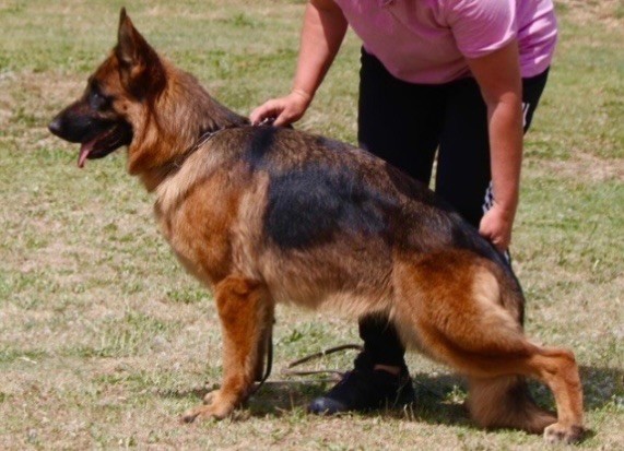 Publication : du Domaine de la Roya 