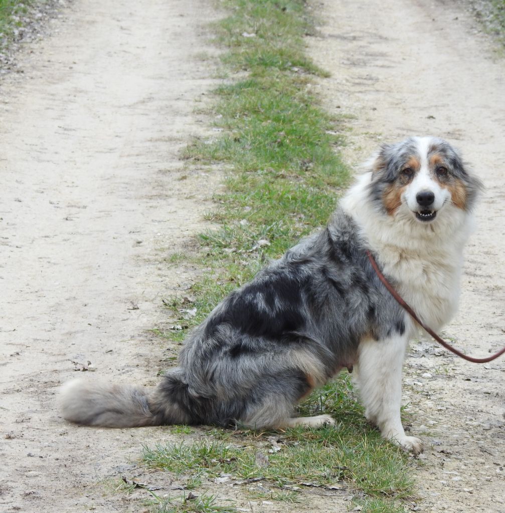 Publication : Du Sapin Vert