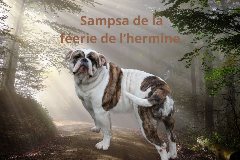 Publication : De La Forêt Des Deesses 