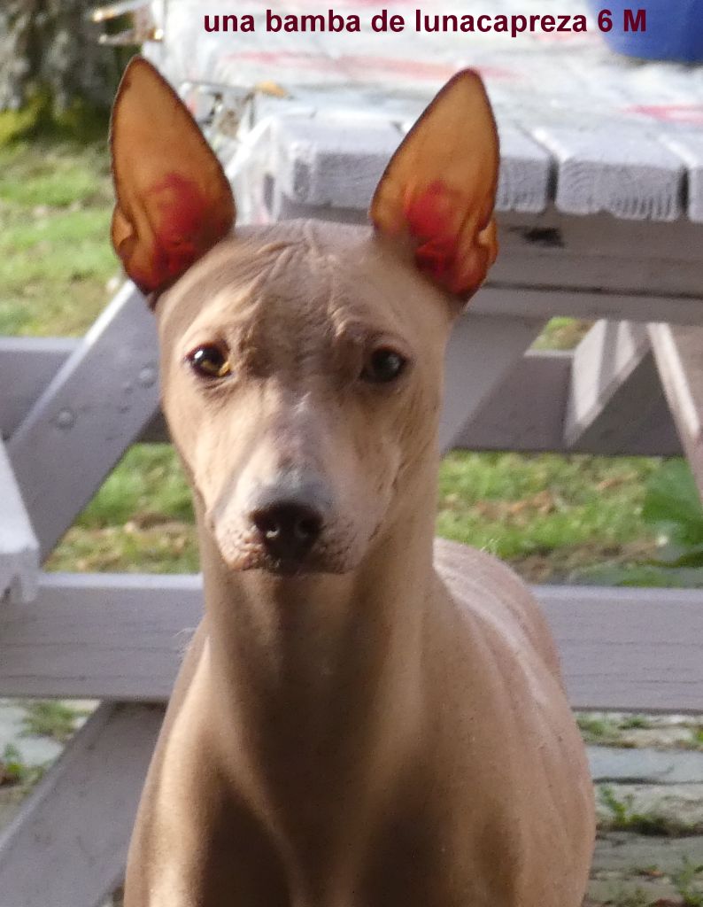 Publication : Macry-sala Auteur : josette lopez