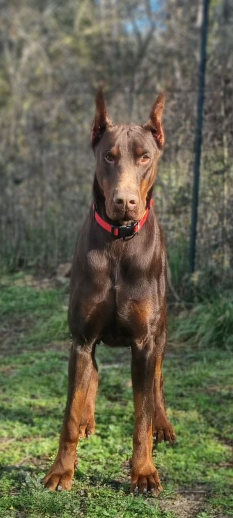 Publication : (Sans Affixe) 