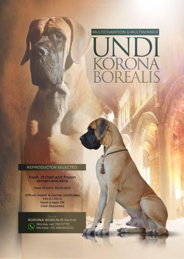 Publication : du mourre d'agnies Auteur : internet