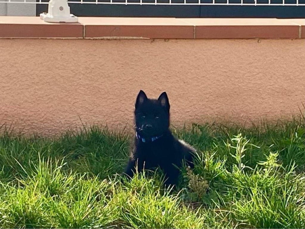 Publication : Gardiens Des Terres D'Ovalie 