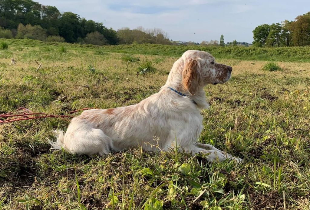 Publication : Des Sources D'Artiguepan