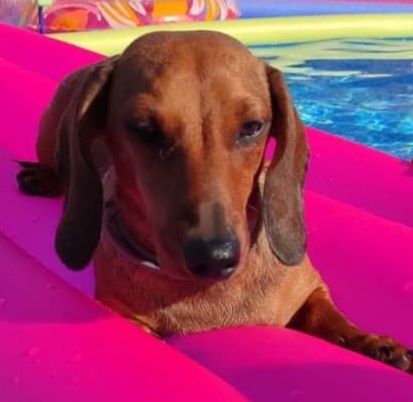 Publication : des amours du Charmaix