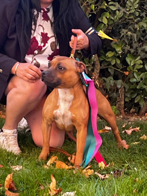 image de Unanashed lady danbury