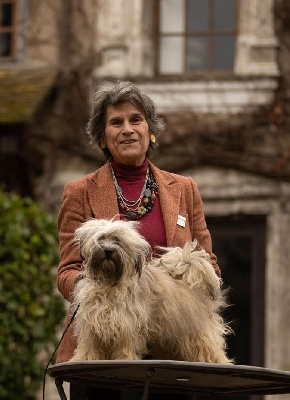 CH. Tumba numba Coeur De Masai