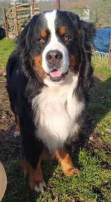 Rio du Domaine de Verlaine