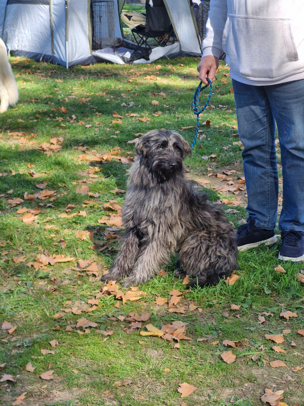 Publication : Soum De Matte Du Pla D'Adet 