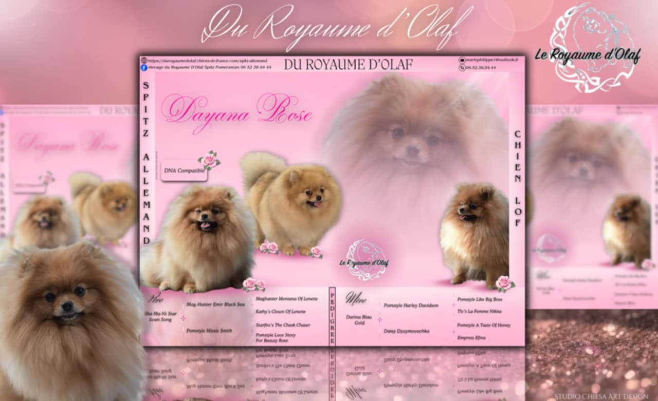 Publication : du Royaume d'Olaf 